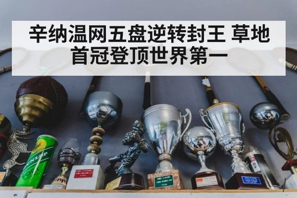 辛纳温网五盘逆转封王 草地首冠登顶世界第一
